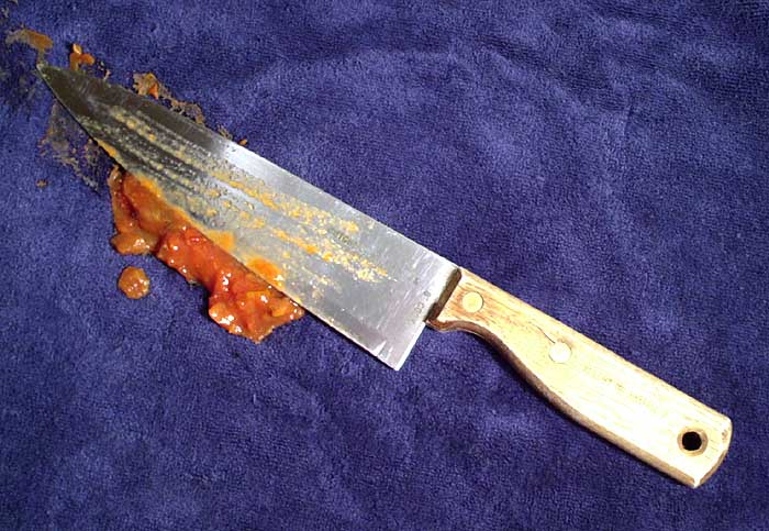 Please wait while picture loads