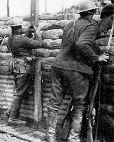 The Brickworks Lane Pals