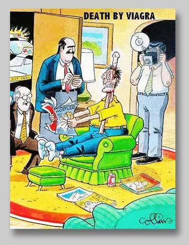 Please wait while picture loads