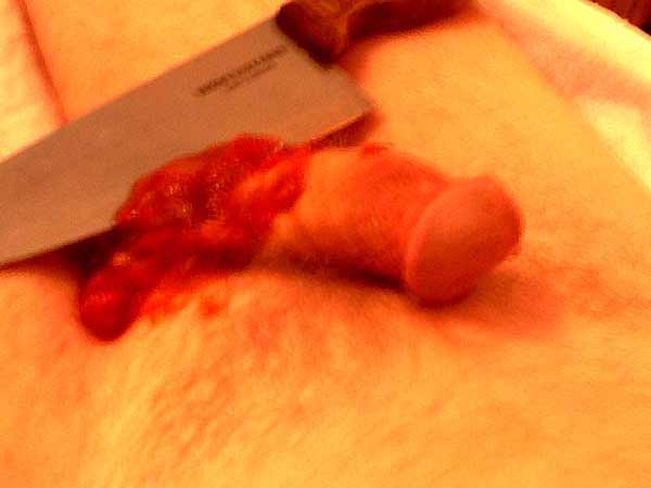 Please wait while picture loads