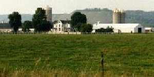 (Marie's view of Darren and Rusty's farm)