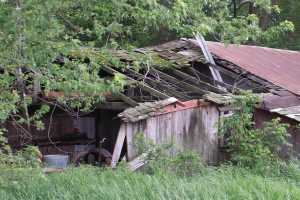 (abandoned farm shed)